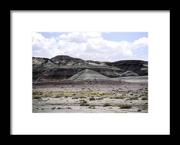 Desert Framed Print featuring the photograph Natures Palette by Judy Hall-Folde