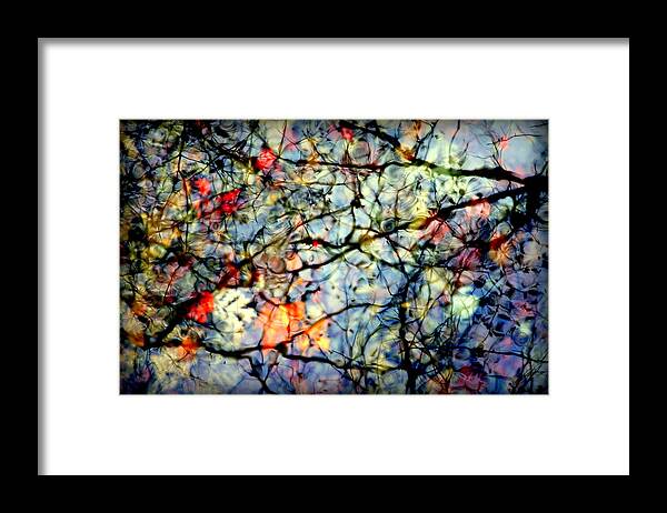 Nature Abstracts Framed Print featuring the photograph Natures Stained Glass by Karen Wiles