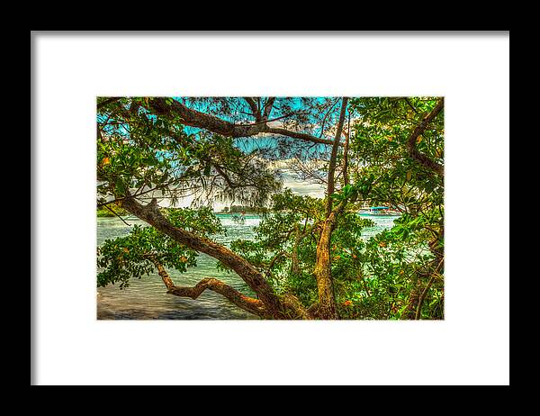 Trees Framed Print featuring the photograph Natures Window by George Kenhan