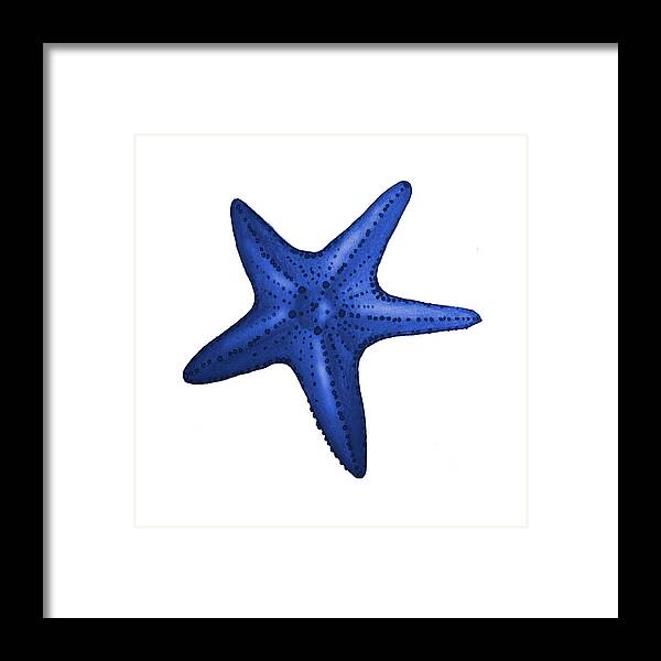 Nautical Framed Print featuring the digital art Nautical Blue Starfish by Michelle Eshleman