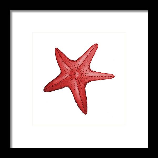 Red Framed Print featuring the digital art Nautical Red Starfish by Michelle Eshleman