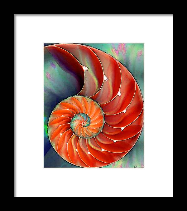 Nautilus Framed Print featuring the painting Nautilus Shell - Nature's Perfection by Sharon Cummings