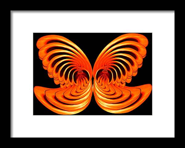 Composite Framed Print featuring the photograph Nautilus Wings by Jim Painter