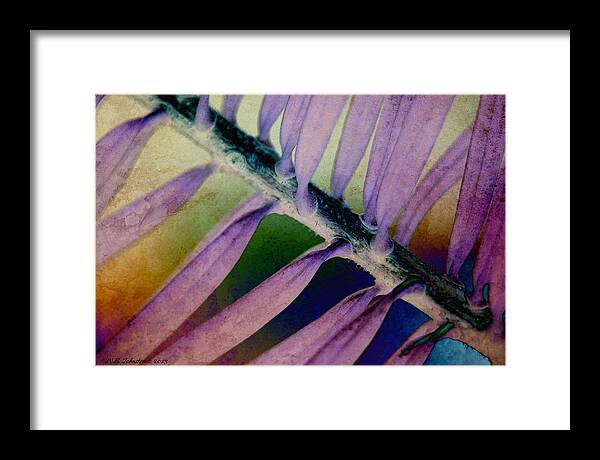 Needles Framed Print featuring the photograph Needled 8 by WB Johnston