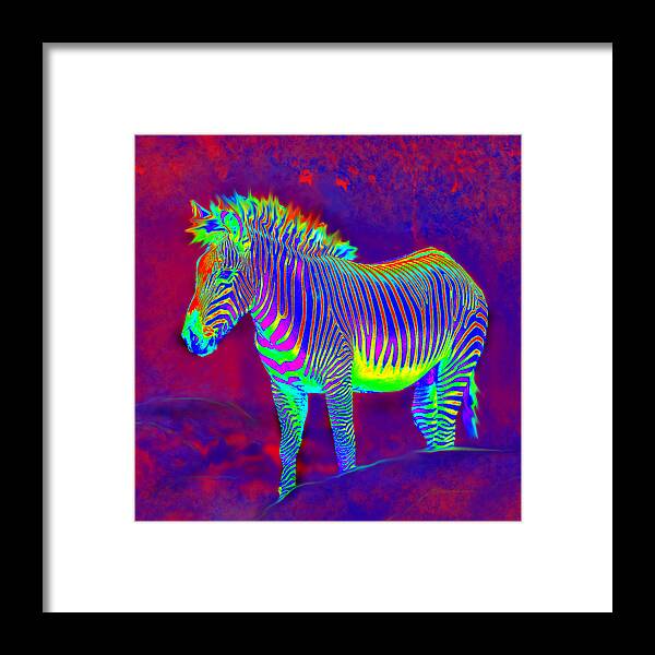 Jane Schnetlage Framed Print featuring the painting Neon Zebra by Jane Schnetlage