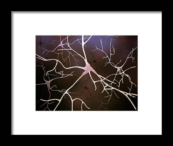 Connection Framed Print featuring the digital art Nerve Cells, Artwork by Andrzej Wojcicki