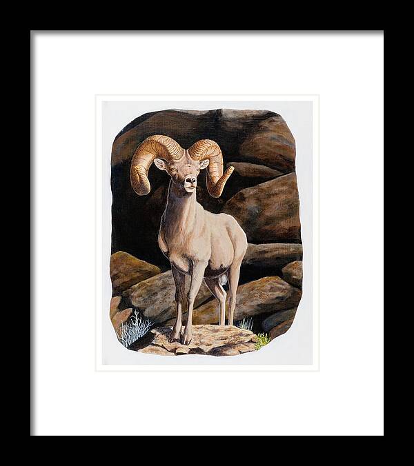 Nevada Framed Print featuring the painting Nevada Desert Bighorn by Darcy Tate
