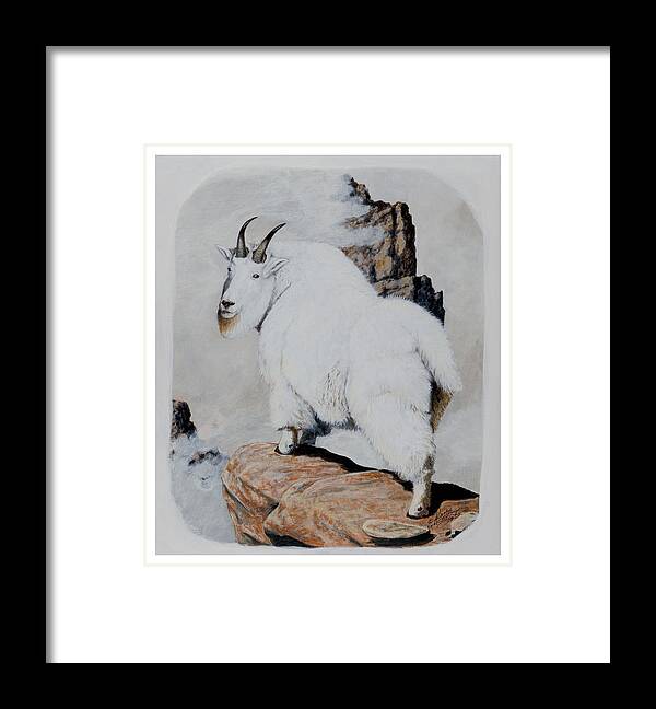 Nevada Framed Print featuring the painting Nevada Rocky Mountain Goat by Darcy Tate