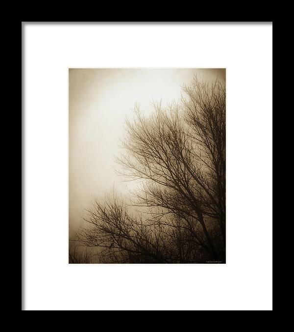 Dawn Framed Print featuring the photograph New Dawn in Winter by Melissa Bittinger