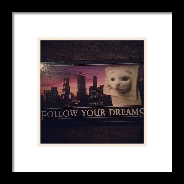  Framed Print featuring the photograph New Motivational Speaker On The Box Of by Agnieszka Furtak