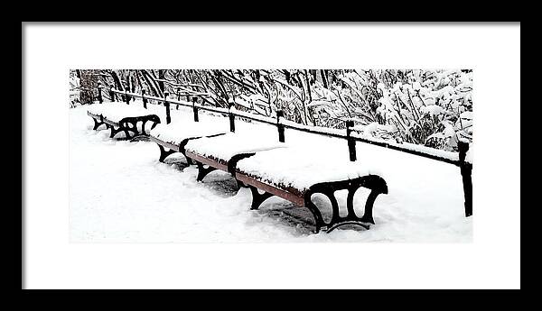 Snow Framed Print featuring the photograph New Snow - Benches by Jacqueline M Lewis