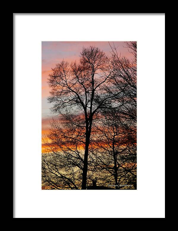 Sunset Framed Print featuring the photograph New Years Sunset by Tannis Baldwin