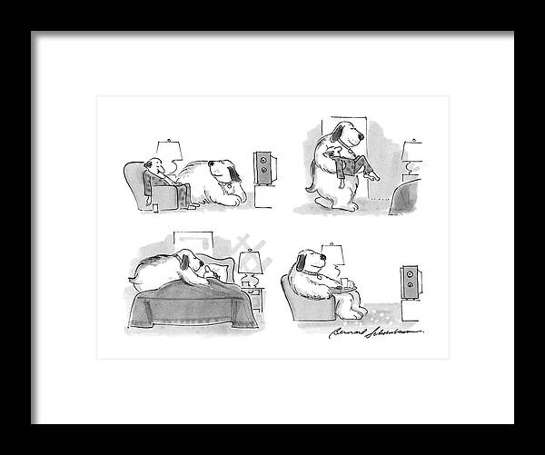 
Dog Puts Man To Bed: Series Of (4). A Man Is Asleep In His Armchair Framed Print featuring the drawing New Yorker March 7th, 1988 by Bernard Schoenbaum