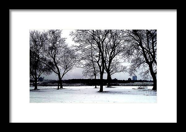 Landscape Framed Print featuring the photograph Niagara Winter Beauty by Iris Gelbart