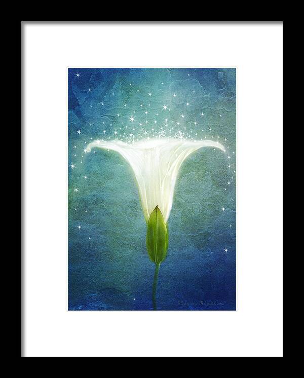 Morning Glory Flower Framed Print featuring the photograph Night Glory by Marina Kojukhova