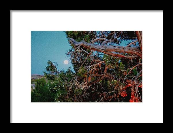 Grand Junction Framed Print featuring the photograph Night Juniper by Gerald Blaine