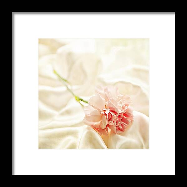 Satin Framed Print featuring the photograph Nights In White Satin by Theresa Tahara