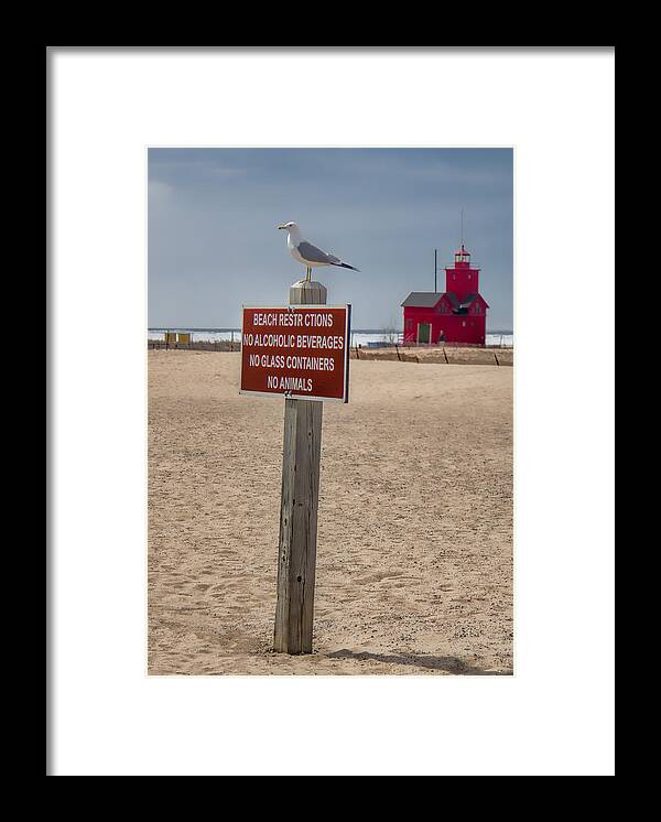 Beach Framed Print featuring the photograph No Animals by John Crothers