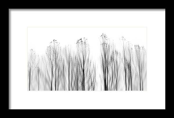 Portugal Framed Print featuring the photograph No Grounds by Paulo Abrantes