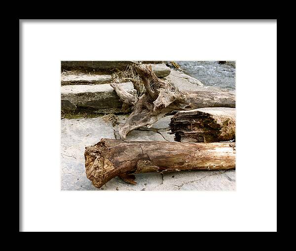 Log Framed Print featuring the photograph No Longer Adrift by Azthet Photography