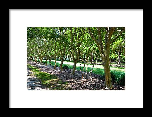 Favorite Spot In The Gardens Framed Print featuring the painting Norfolk Botanical Garden 3 by Jeelan Clark