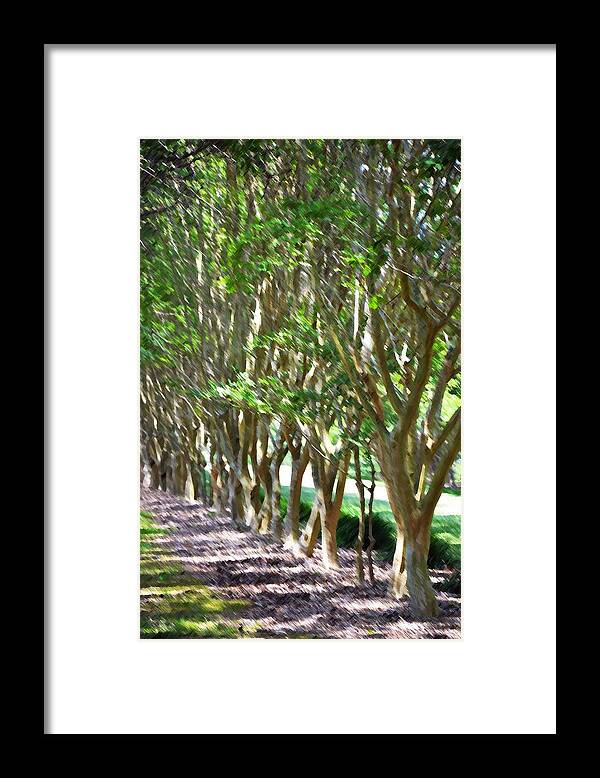 Favorite Spot In The Gardens Framed Print featuring the painting Norfolk Botanical Garden 5 by Jeelan Clark