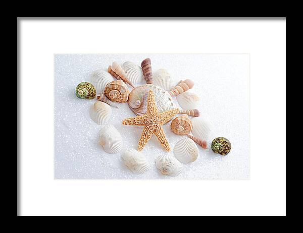  Seashells Framed Print featuring the photograph North Carolina Sea Shells by Andee Design