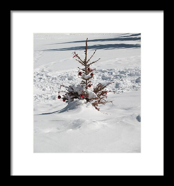 Christmas Framed Print featuring the photograph Northern Arizona Christmas by Joshua House