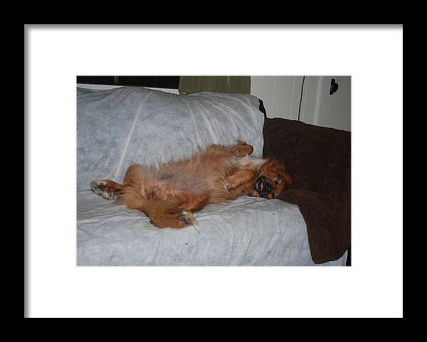 Lady Sleeping Framed Print featuring the photograph Not a lady by Robert Floyd