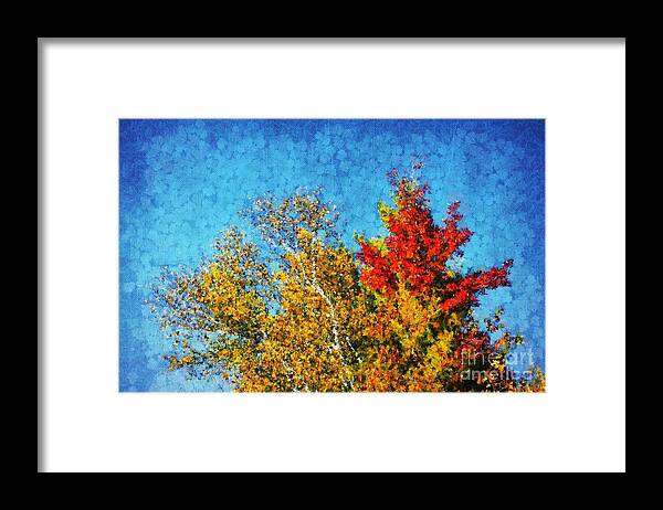 Trees Framed Print featuring the photograph Not Only Some Other Autumn Trees - 09 by Variance Collections