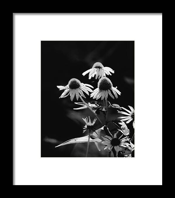 Nature Framed Print featuring the photograph Not Perfect But Beautiful by Gerlinde Keating - Galleria GK Keating Associates Inc