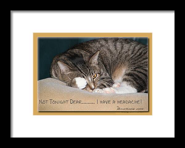 Cat Framed Print featuring the photograph Not Tonight Dear ... by Ericamaxine Price