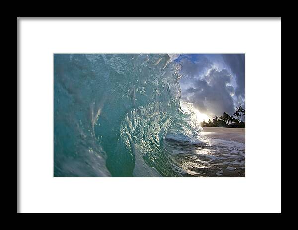 Coconut Curl Framed Print featuring the photograph Coconut Curl by Sean Davey