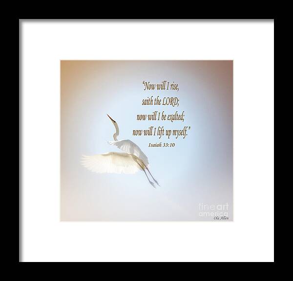 Egret Framed Print featuring the photograph Now Will I Rise by Ola Allen