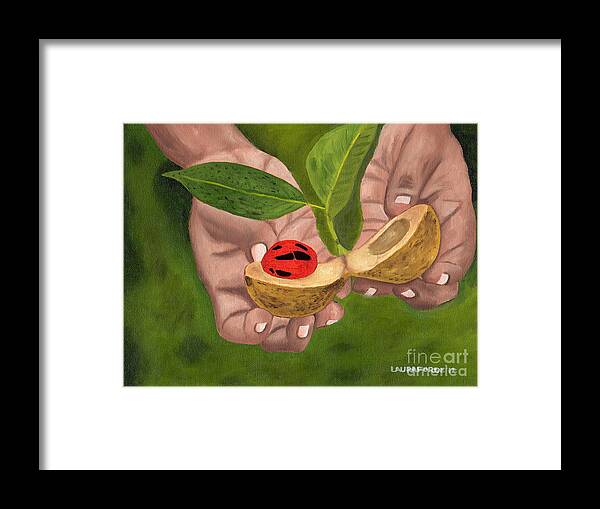 Grenada Framed Print featuring the painting Nutmeg in Hand by Laura Forde