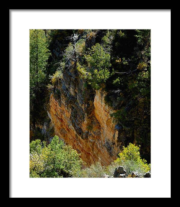 Leaves Framed Print featuring the photograph Oak Creek Canyon Color 23614 by Jerry Sodorff