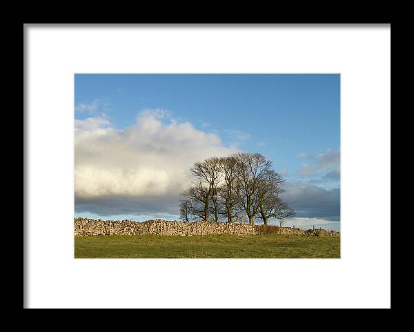 Scenics Framed Print featuring the photograph Oak Trees In Winter by Dr T J Martin