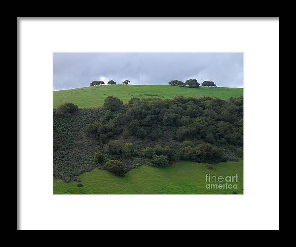 Carmel Valley Framed Print featuring the photograph Oaks On A Ridge by James B Toy