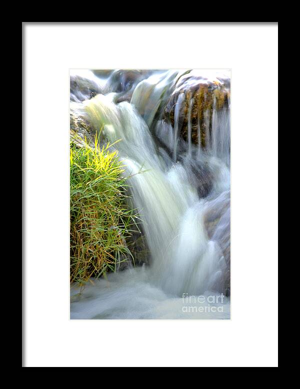 Water Framed Print featuring the photograph Oasis by Deb Halloran
