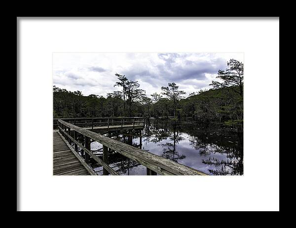 Caddo Lake Framed Print featuring the photograph Observation Deck by John Hesley