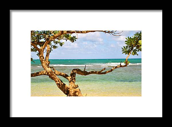 Tree Framed Print featuring the photograph Ocean Breeze by Sue Morris