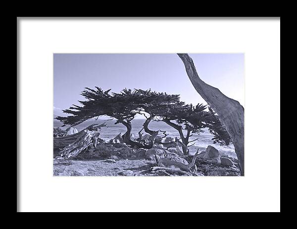 Ocean Framed Print featuring the photograph Ocean Wood by Andre Aleksis