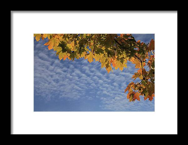 October Framed Print featuring the photograph October by Dragan Kudjerski