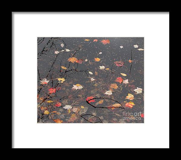 October Song Framed Print featuring the photograph October Song 4 by Gregory Arnett