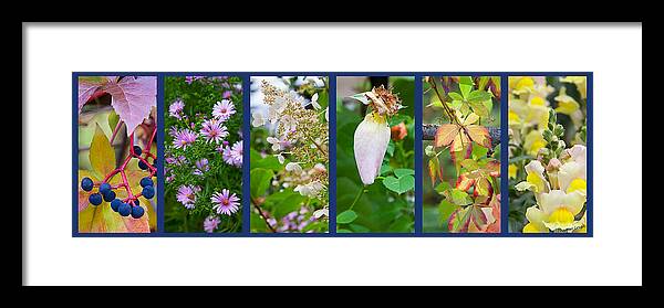 Garden Framed Print featuring the photograph October by Theresa Tahara