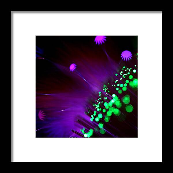 Abstract Framed Print featuring the photograph Octopus's Garden by Dazzle Zazz