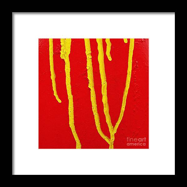 Cml Brown Framed Print featuring the photograph Ocular Memory by CML Brown