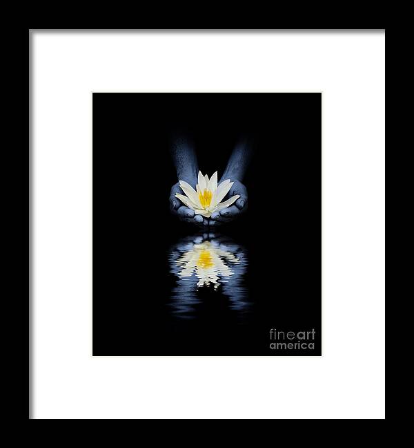 Indian Framed Print featuring the photograph Offering of the lotus by Tim Gainey