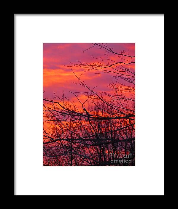 Sunrise Framed Print featuring the photograph Oh What a Beautiful Morning by Elizabeth Dow