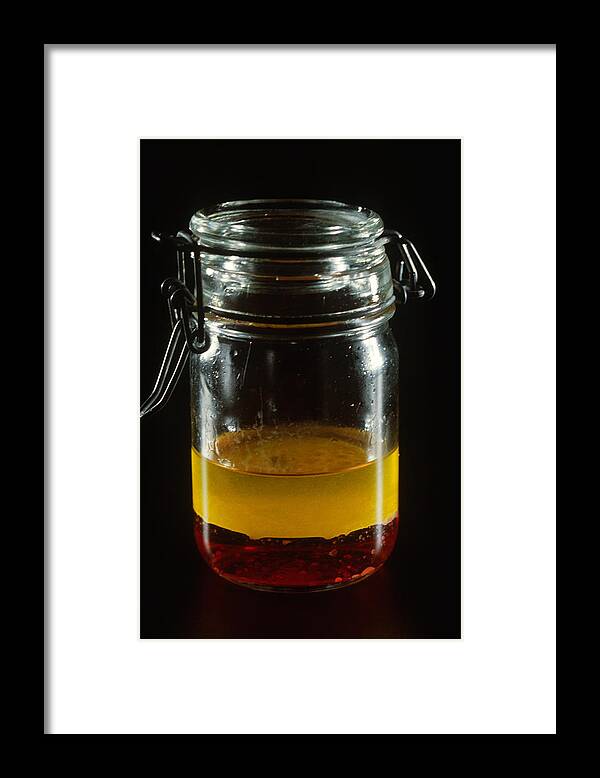 Oil Framed Print featuring the photograph Oil And Water Dont Mix by Biology Pics